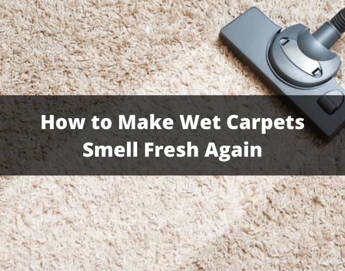 How to Make Wet Carpets Smell Fresh Again