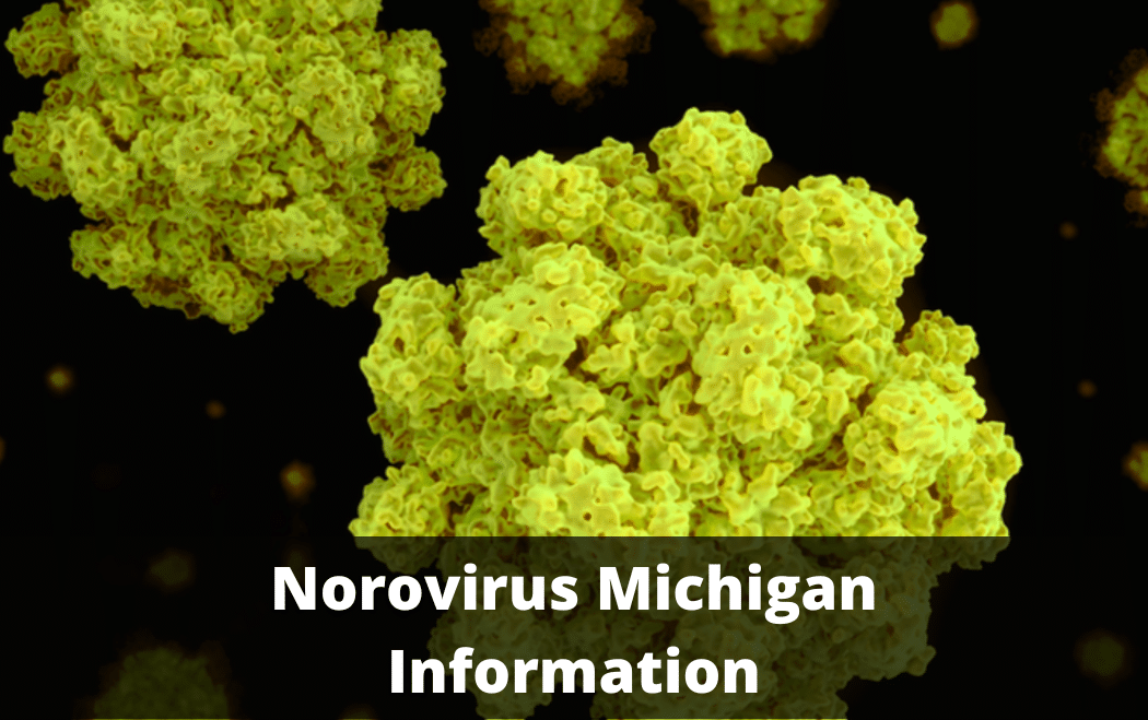 Norovirus Michigan