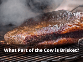 What Part of the Cow is Brisket