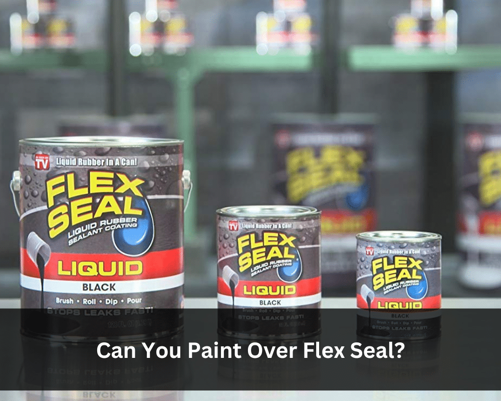 Can You Paint Over Flex Seal